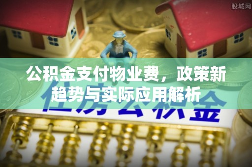 辛集公积金支付物业费，政策新趋势与实际应用解析