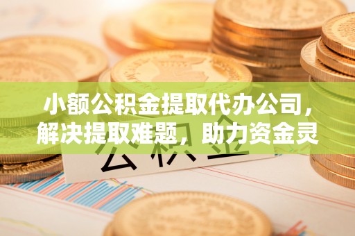 辛集小额公积金提取代办公司，解决提取难题，助力资金灵活使用