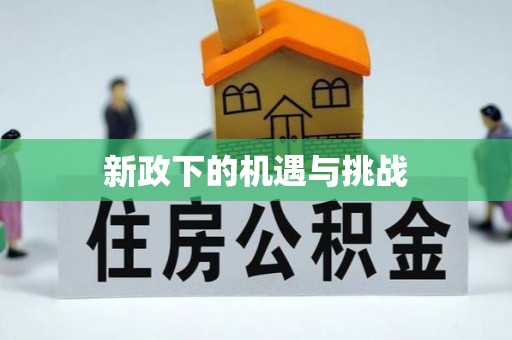 辛集新政下的机遇与挑战