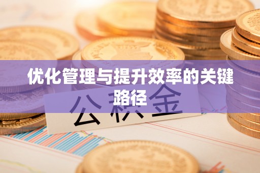 辛集优化管理与提升效率的关键路径