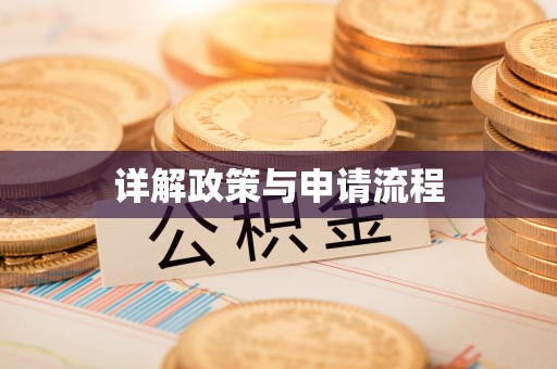 辛集详解政策与申请流程
