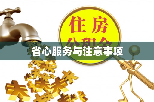 辛集省心服务与注意事项