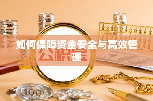 辛集如何保障资金安全与高效管理