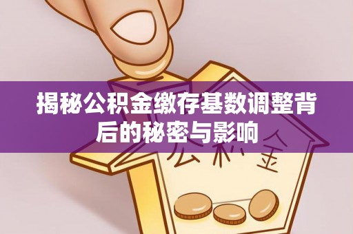 辛集揭秘公积金缴存基数调整背后的秘密与影响