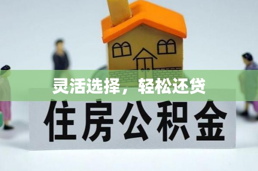 辛集灵活选择，轻松还贷