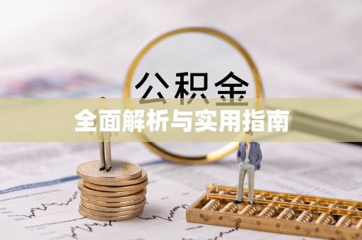 辛集全面解析与实用指南