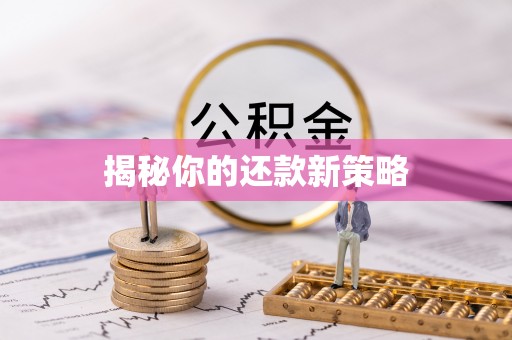 辛集揭秘你的还款新策略