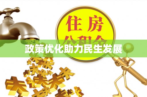 辛集政策优化助力民生发展