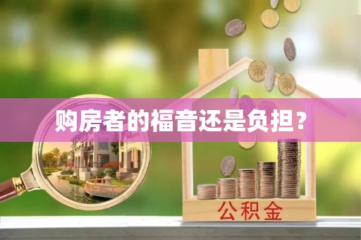 辛集购房者的福音还是负担？