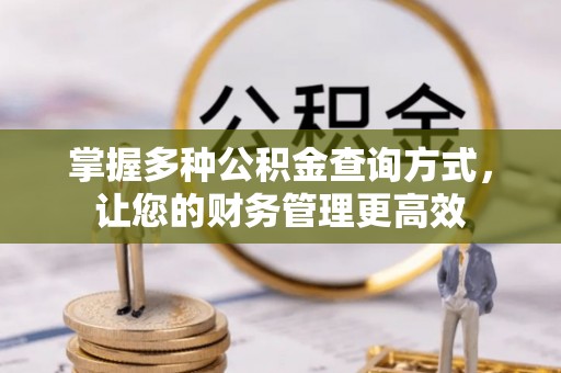 辛集掌握多种公积金查询方式，让您的财务管理更高效
