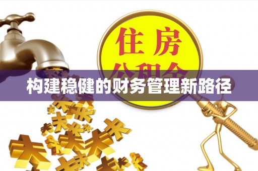 辛集构建稳健的财务管理新路径