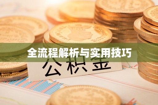 辛集全流程解析与实用技巧