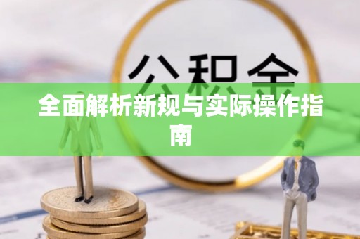 辛集全面解析新规与实际操作指南