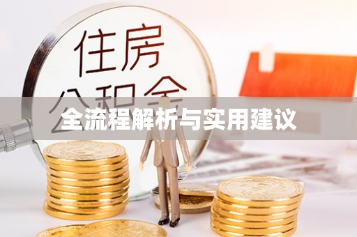 辛集全流程解析与实用建议