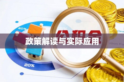 辛集政策解读与实际应用