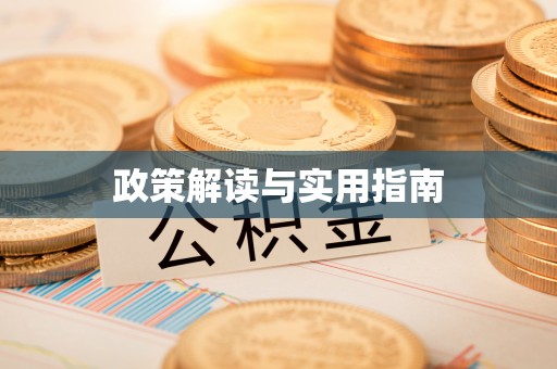 辛集政策解读与实用指南