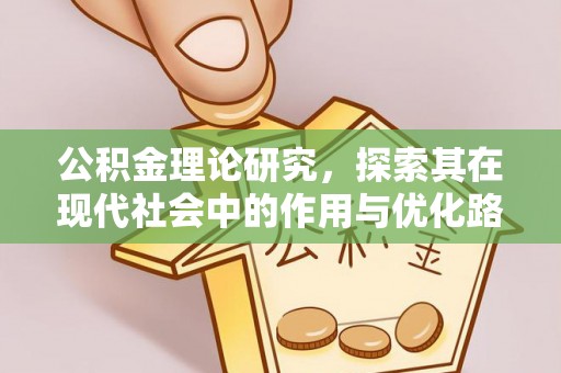 辛集公积金理论研究，探索其在现代社会中的作用与优化路径