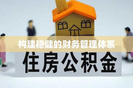 辛集构建稳健的财务管理体系