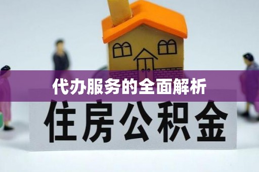 辛集代办服务的全面解析