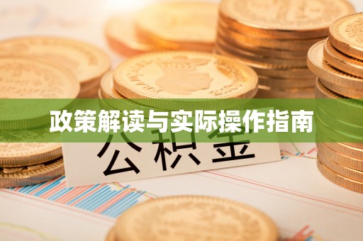 辛集政策解读与实际操作指南