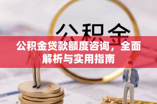 辛集公积金贷款额度咨询，全面解析与实用指南