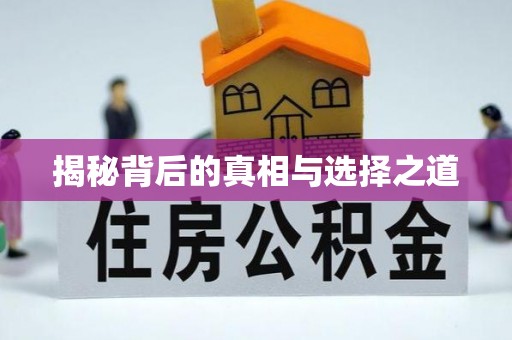 辛集揭秘背后的真相与选择之道