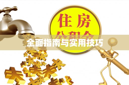 辛集全面指南与实用技巧