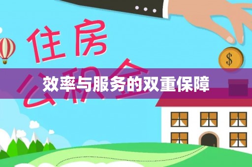 辛集效率与服务的双重保障