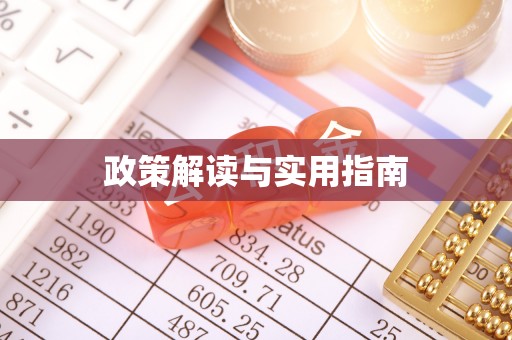 辛集政策解读与实用指南