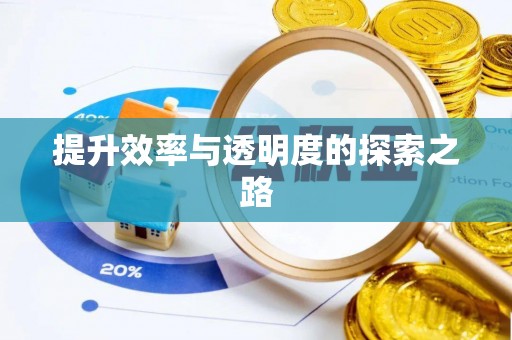 辛集提升效率与透明度的探索之路