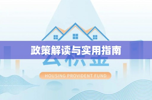 辛集政策解读与实用指南