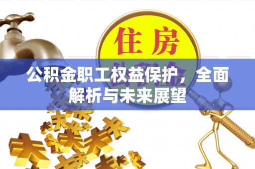 辛集公积金职工权益保护，全面解析与未来展望