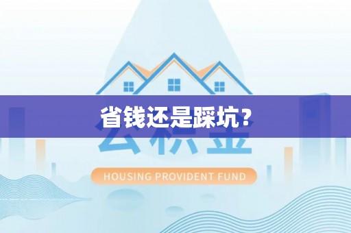 辛集省钱还是踩坑？
