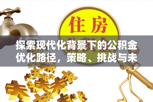 辛集探索现代化背景下的公积金优化路径，策略、挑战与未来展望
