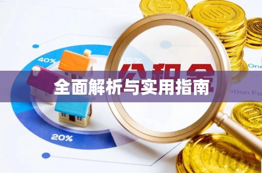 辛集全面解析与实用指南
