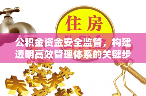 辛集公积金资金安全监管，构建透明高效管理体系的关键步骤