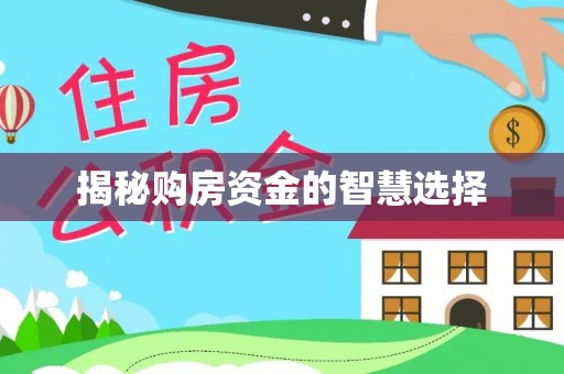 辛集揭秘购房资金的智慧选择