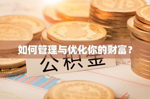 辛集如何管理与优化你的财富？