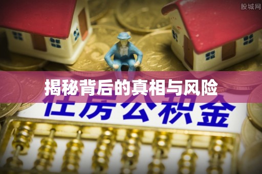 辛集揭秘背后的真相与风险