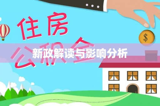 辛集新政解读与影响分析