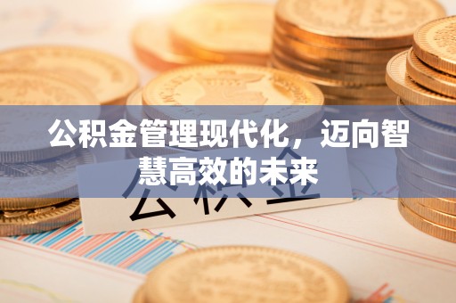 辛集公积金管理现代化，迈向智慧高效的未来