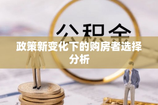 辛集政策新变化下的购房者选择分析
