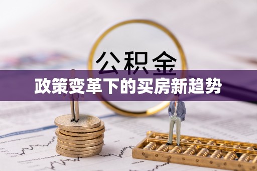 辛集政策变革下的买房新趋势