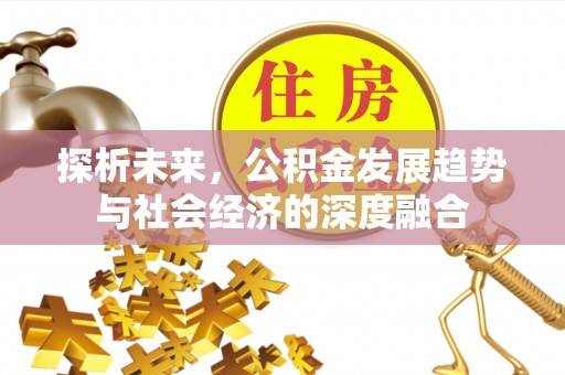辛集探析未来，公积金发展趋势与社会经济的深度融合