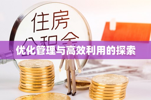 辛集优化管理与高效利用的探索