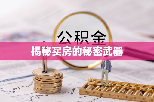 辛集揭秘买房的秘密武器