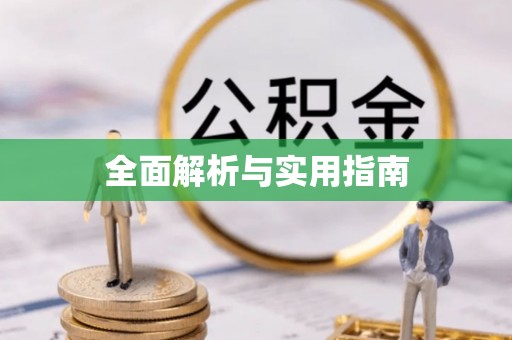 辛集全面解析与实用指南