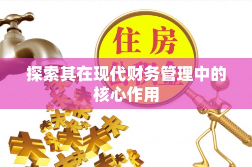 辛集探索其在现代财务管理中的核心作用
