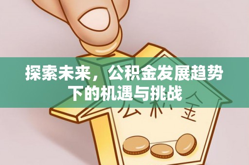 辛集探索未来，公积金发展趋势下的机遇与挑战