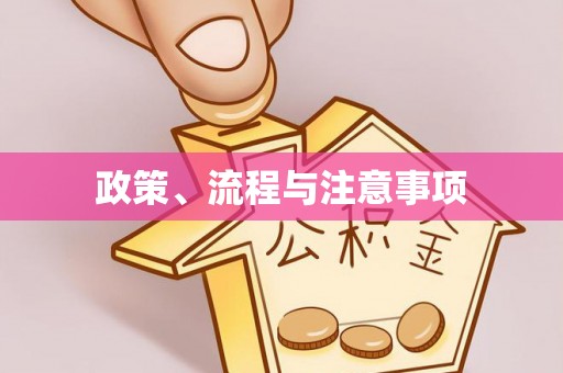 辛集政策、流程与注意事项